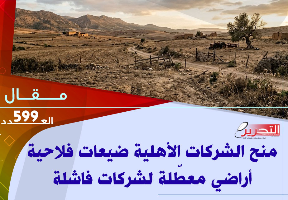منح الشركات الأهلية ضيعات فلاحية أراضي معطّلة لشركات فاشلة منح الشركات الأهلية ضيعات فلاحية أراضي معطّلة لشركات فاشلة